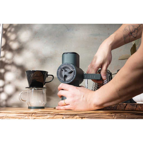 Fiorenzato Pietro Pro Coffee Grinder