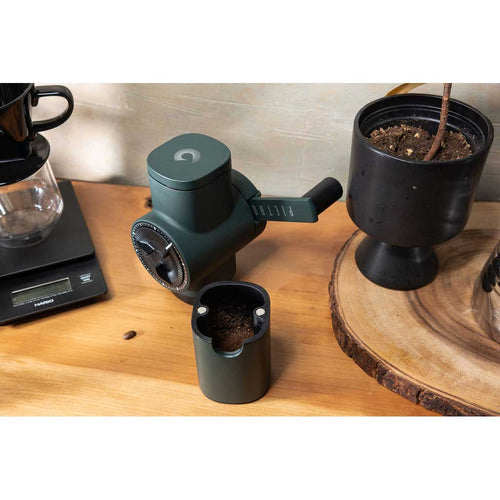 Fiorenzato Pietro Pro Coffee Grinder