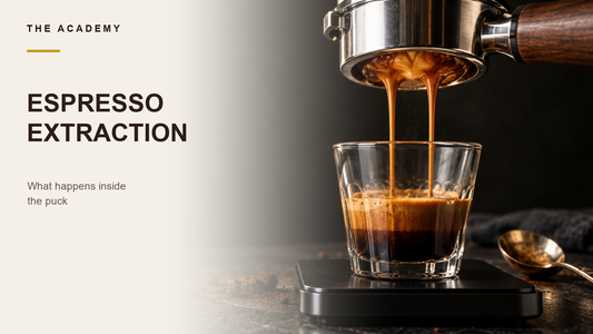 Espresso Extraction Explained: What Happens Inside the puck