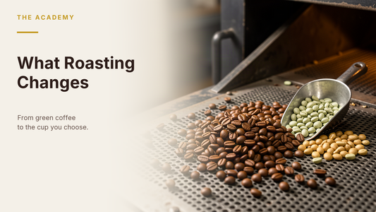 The Academy hero: What Roasting Changes — green and roasted coffee beans on a roaster cooling tray