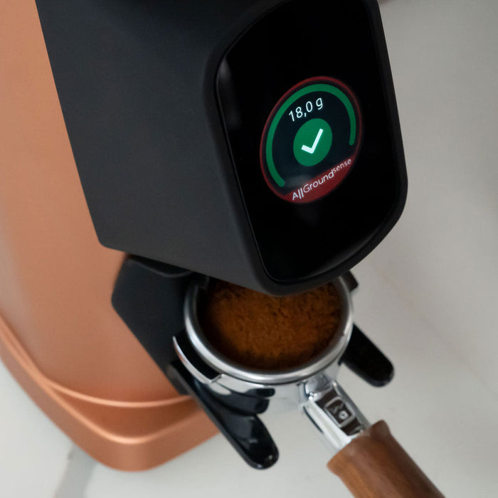 Fiorenzato AllGround Sense Coffee Grinder