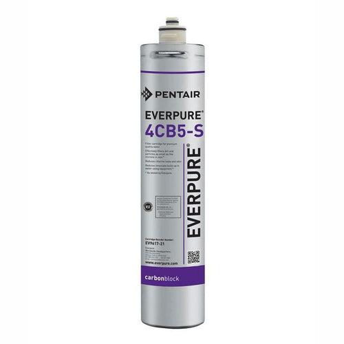Cartucho de filtro de agua Everpure - 4CB5-S